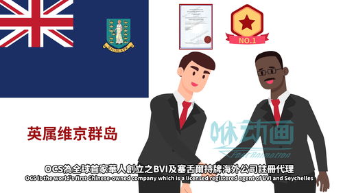 网络技术服务产品宣传动画 风格选择指南