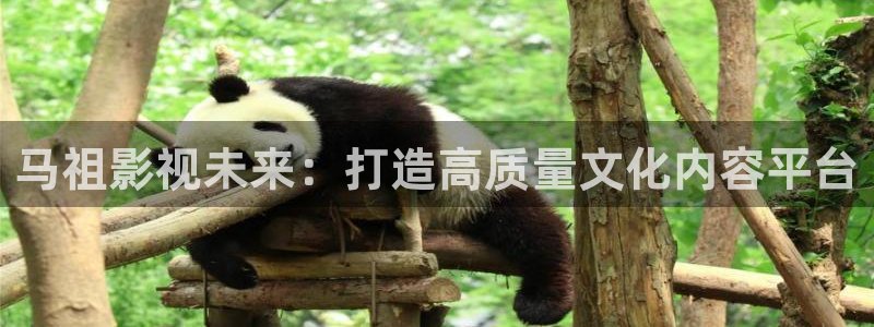 伦理影片在线网站：马祖影视未来：打造高质量文化内容平台