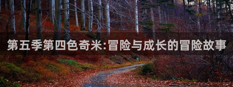 第一伦理影院：第五季第四色奇米:冒险与成长的冒险故事