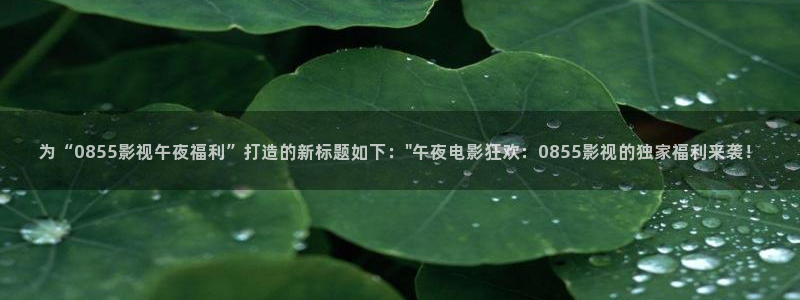 台湾伦理视频在线观看：为“0855影视午夜福利”打造的新标题如下：\
