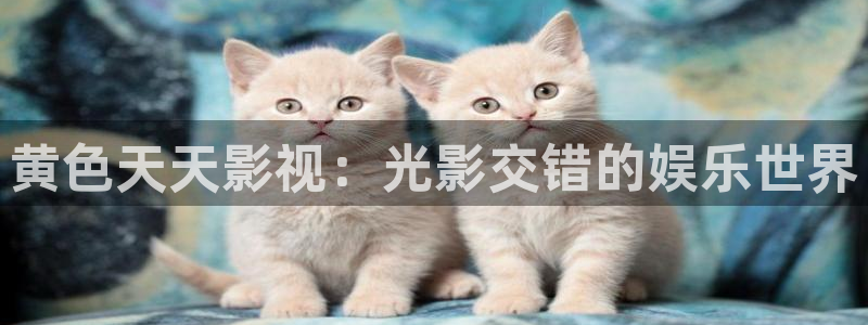 伦理电影日韩伦理影院