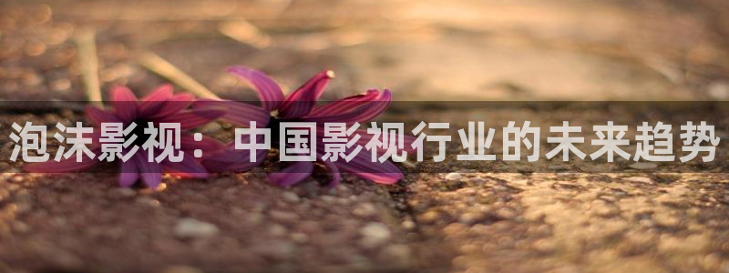 伦理影片在线观看电影免费：泡沫影视：中国影视行业的未来趋势