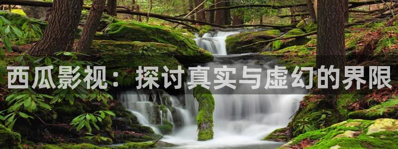 国内伦理视频在线观看：西瓜影视：探讨真实与虚幻的界限