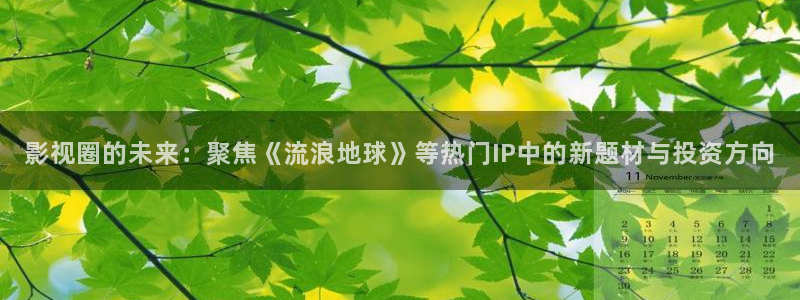秋霞在线伦理影视：影视圈的未来：聚焦《流浪地球》等热门IP中的新题材与投资方向